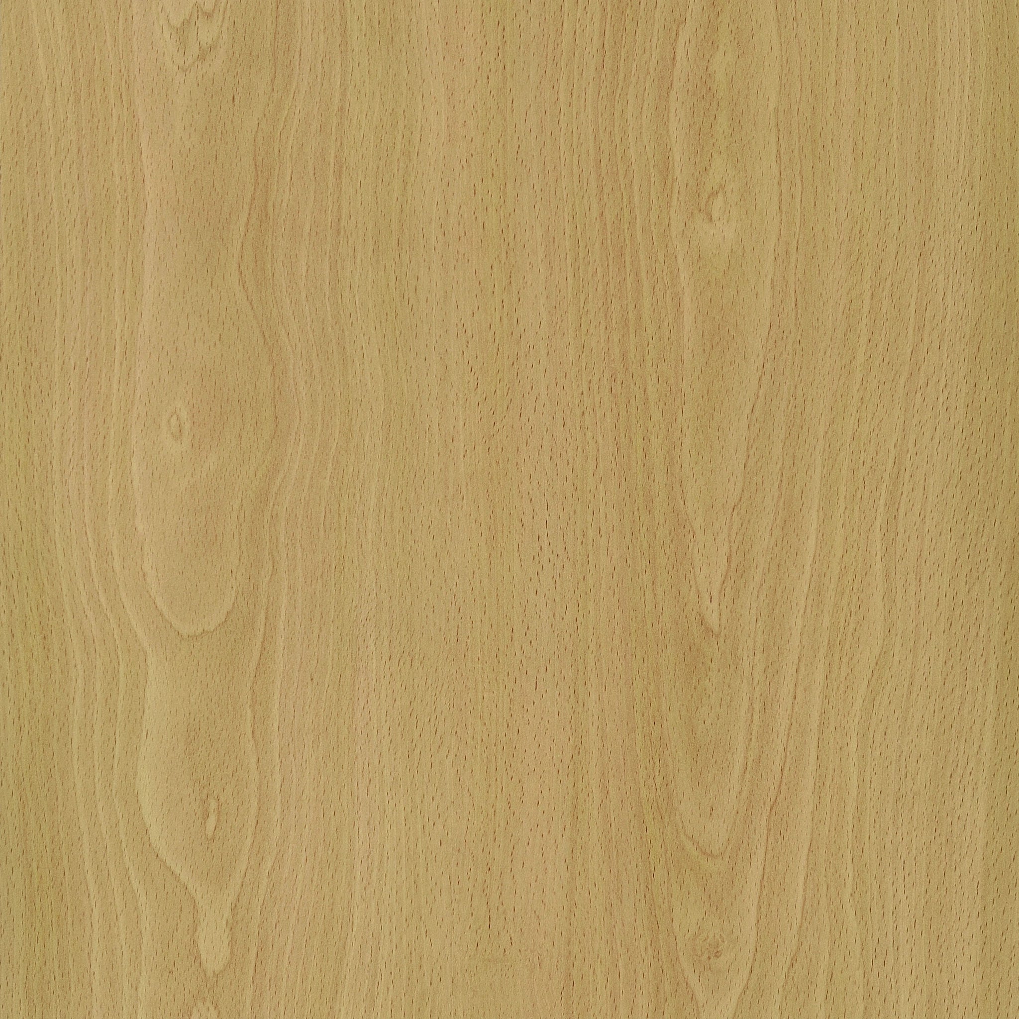 Edwards Four-Panel Room Divider